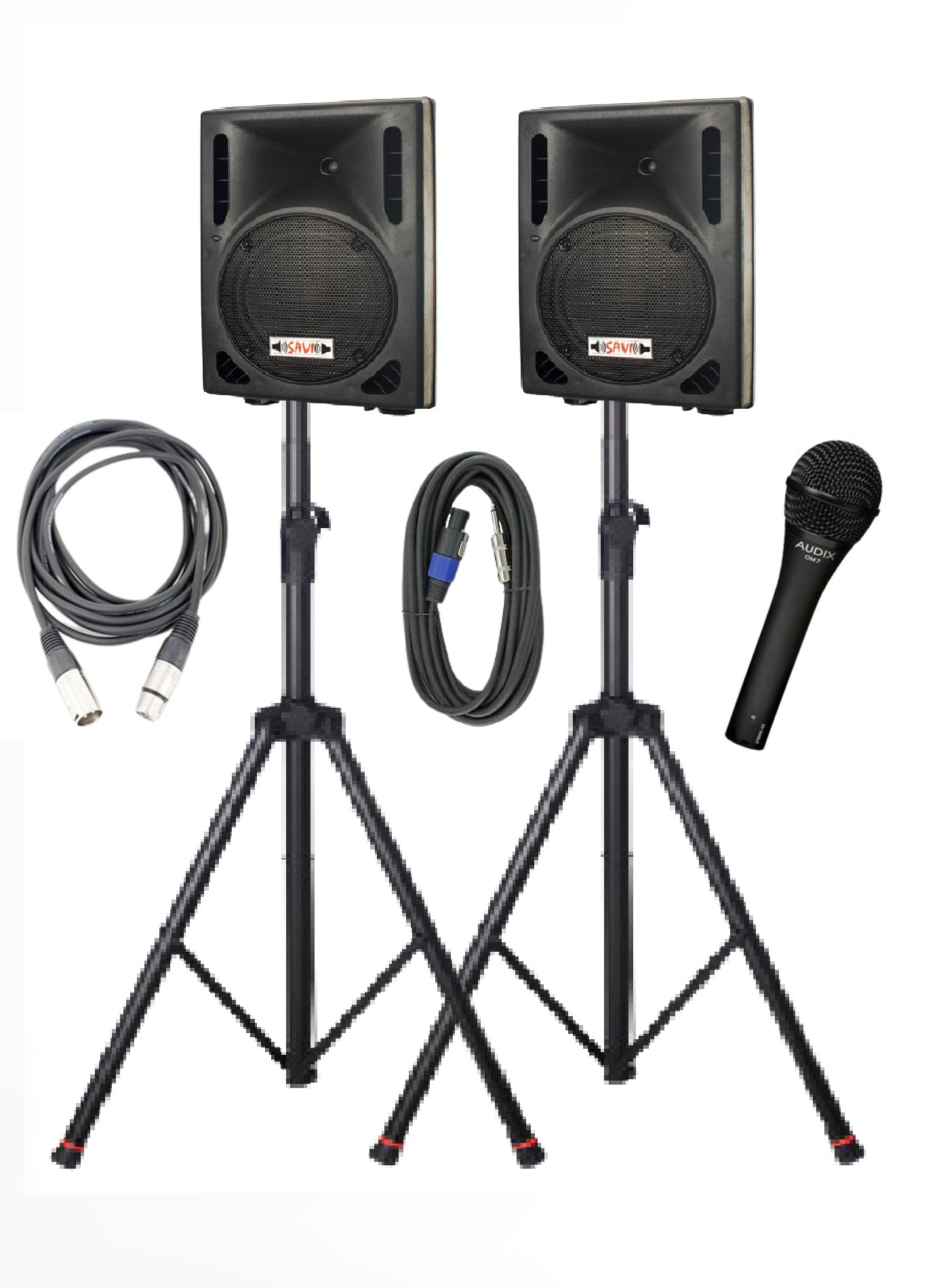 Savi® PA (Public Address) System